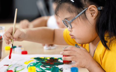 Disability Standards for Education
