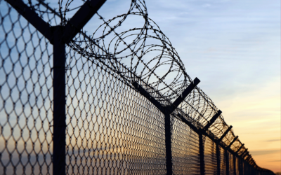 Queensland’s Forensic Disability Service